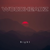 Night (feat. Oliver) - Single - woodheadz