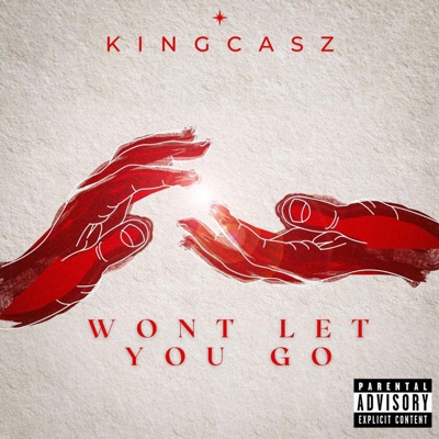 Wont Let You Go - Single
