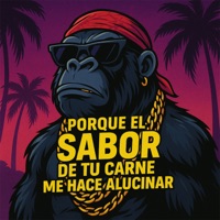 Porque el Sabor de Tu Carne Me Hace Alucinar - Single - Dj Aldair el rey de la chancadera