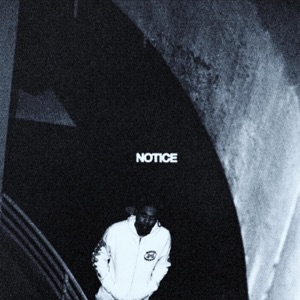 Notice - Single