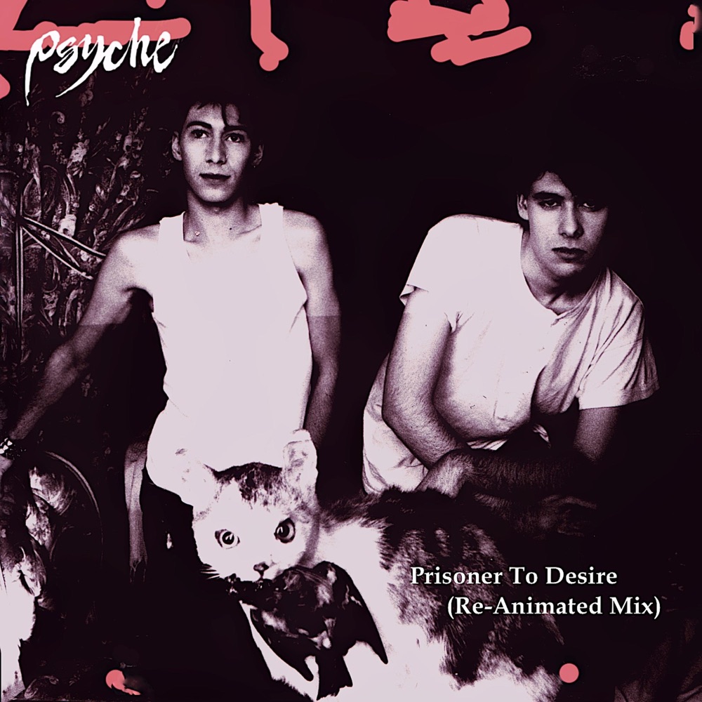 Обложка альбома «Prisoner To Desire (Re-Animated Mix) - Single» — Psyche