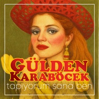 Tapıyorum Sana Ben - Single - Gülden Karaböcek