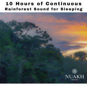 10 Hours of Continuous Rainforest Sound for Sleeping