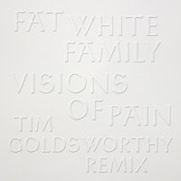 Visions of Pain (Tim Goldsworthy Remix) - Single - The Fat White Family & Tim Goldsworthy