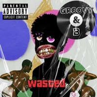 Groovy B - GSD Groovy