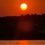 Under The Red Sun - Single