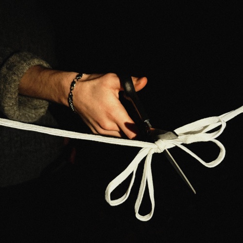 shoelace