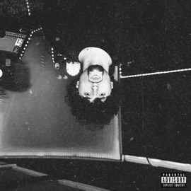 Euphoria (feat. Yung B) Dubb Saq