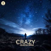 Crazy (Extended Mix) artwork