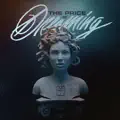 The Price Of Dreaming