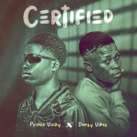 Certified (feat. Donzy vibes) - Single - Prince Vicky