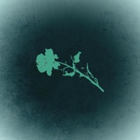 Maybe It's Time - Single - Kanashi