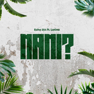 Song - Nani (feat. Latinoh) - Echo 254