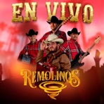Puro Remolinos
