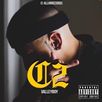 Changed 2 - VALLEYBOY