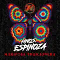 Mariposa Traicionera