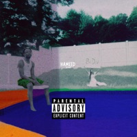 BIDII - Hameed Idowu