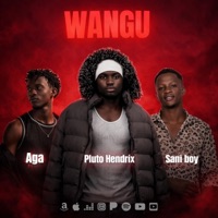 WANGU (feat. Pluto Hendrix & SANI BOY) - Single - Five boys to the world