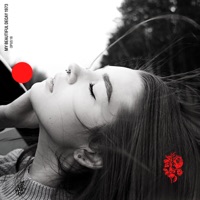 Opus 18 - Single - My Beautiful Decay 1973