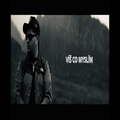 Víš co myslím ? - Single