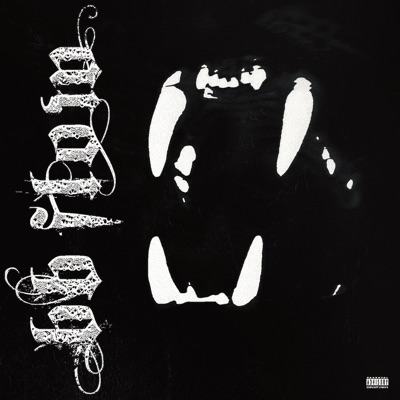 BB FLOW - Single