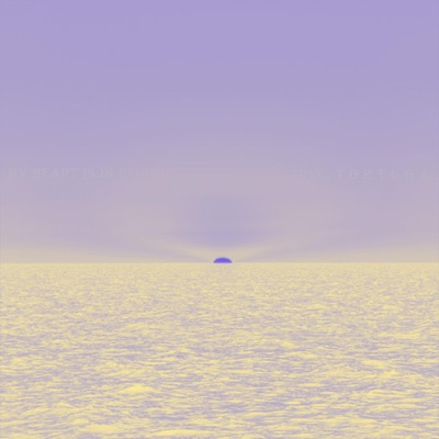 tortuga - Single