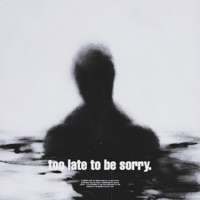 too late to be sorry. (Ultra Slowed + Reverb) - Single - CXSMPX