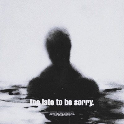 too late to be sorry. (Ultra Slowed + Reverb) - Single