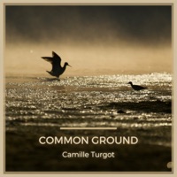 Common Ground