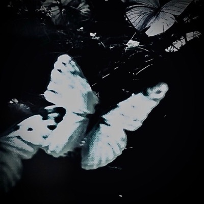 Club1 - Single