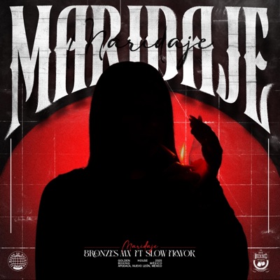 Maridaje (feat. Slow Flavor) - Single