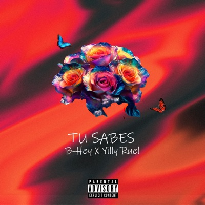 Tu Sabes - Single