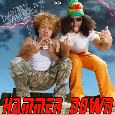 Hammer Down - Single