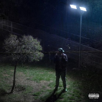 BANDS - Single