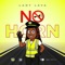 No Horn - Lady Lava & Boogy Rankss lyrics