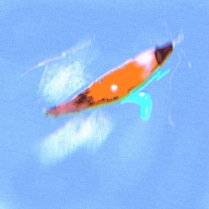 Tearz - Single