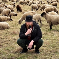 Frankenstein - Single - William Gotti & Max Sheppert