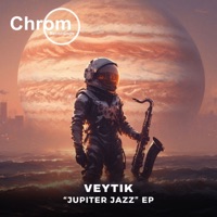 Rising Tide (Radio Edit) - Single - Veytik
