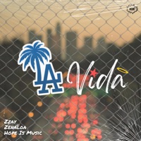LA VIDA (feat. Zzay, Zenaloa & Soul.Dope.95) - Single - Hope Is Music