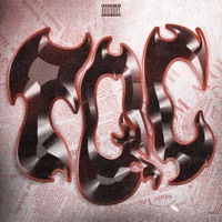 TQC - Single - Palma MSC & Jozeer Prod