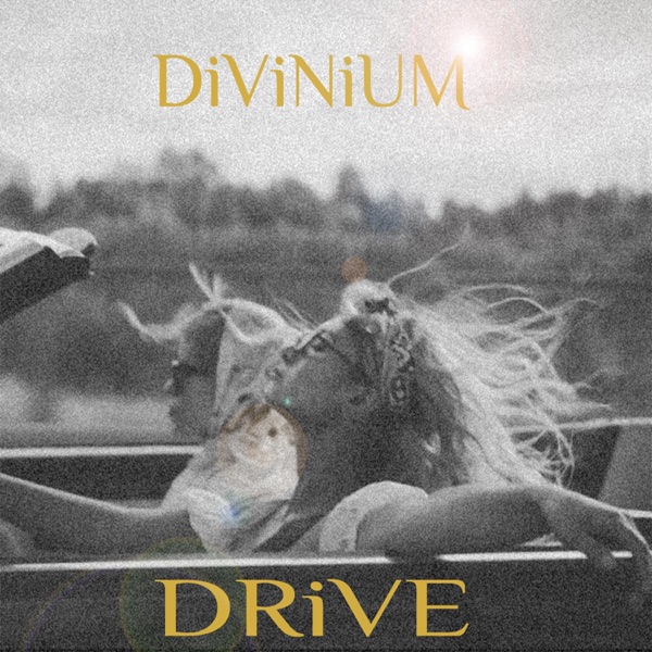 DRiVE