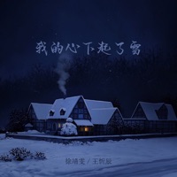我的心下起了雪 (Dj阿布版) - Single - 徐靖雯 & 王忻辰