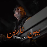 Bin Narin - Single - Blingos