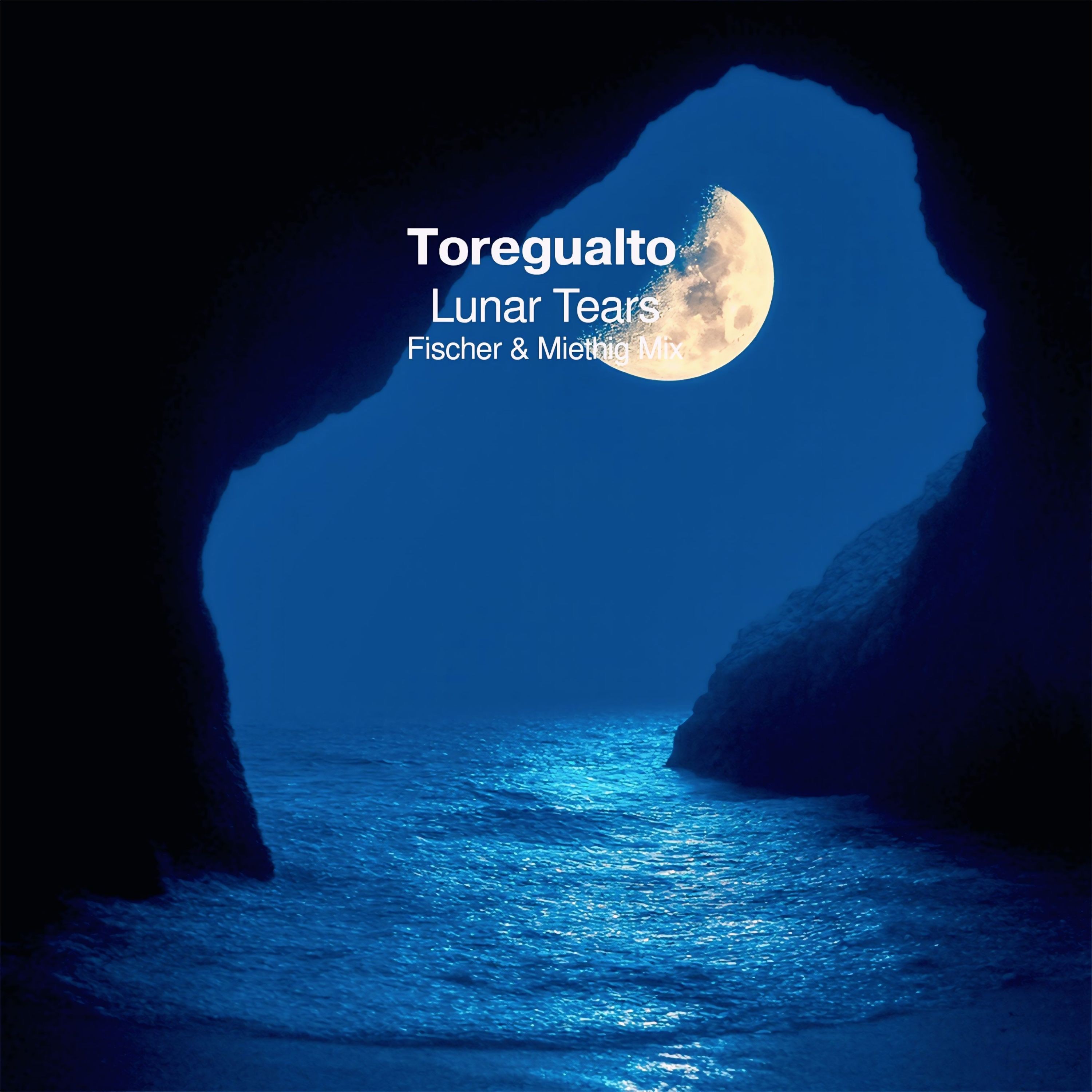 Lunar Tears (Fischer & Miethig Mix) - Single