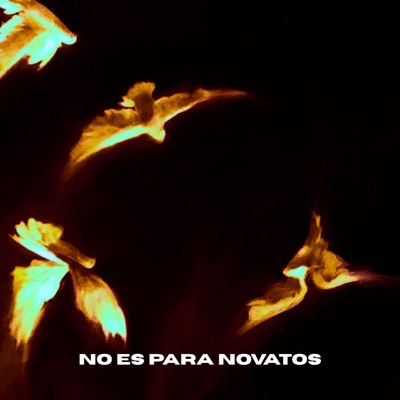 No Es para Novatos (feat. Lil Viejo) - Single