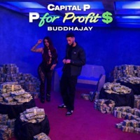 Capital P P for Profit $ - BuddhaJay