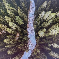 birds resting by the stream (feat. Nordic Wilderness & El Naturel) [AITIA Remix] - Single - randomsoundguy