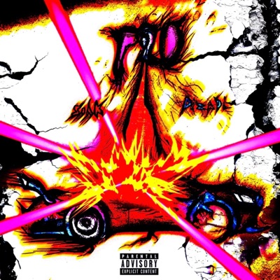 P2O - Single