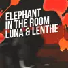 elephant in the room