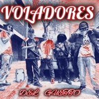 Voladores del Guetto (feat. EJE/c 15.31.7, julian solo indajaus & EL HIJO DE LAS CALLES) - Single - The Kolins Rap, Remant Revenant, Darksay & PROD. DNET